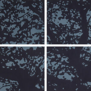 076MUR_web