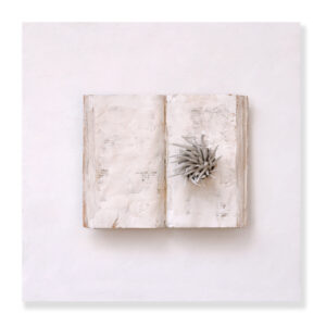 ALBORESCENTIA #1, Mista su tavola, cm 40x40